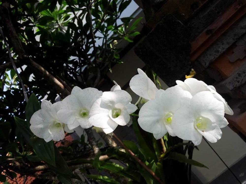 Surya Inn Kuta Lombok Zewnętrze zdjęcie